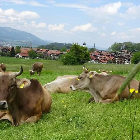 Hoernerblick Appartamento Oberstdorf